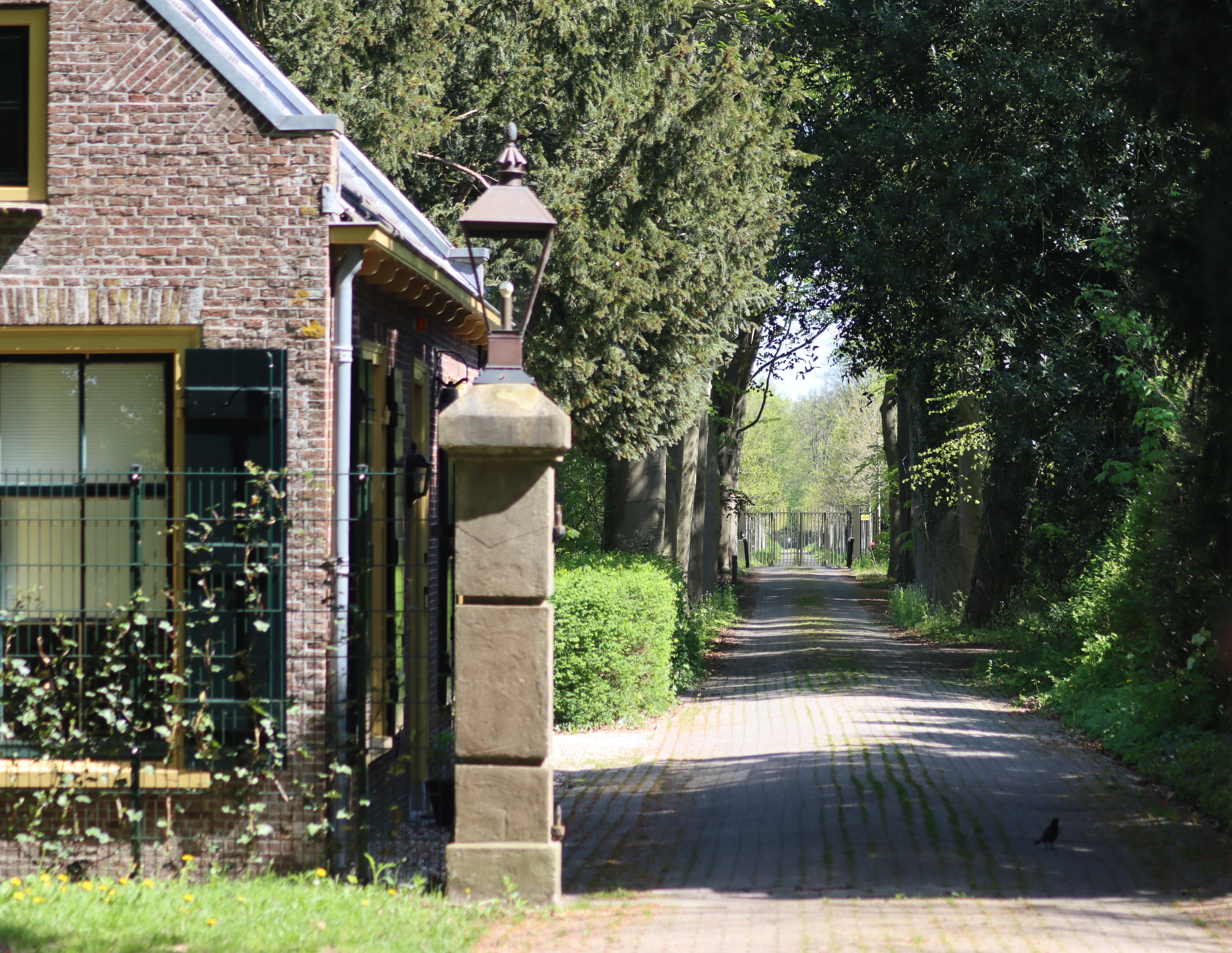 aa